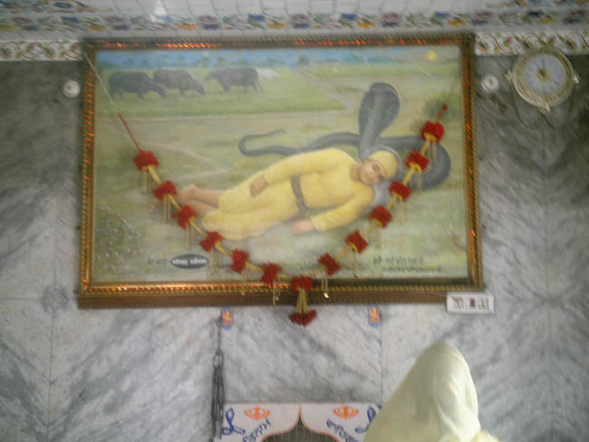 A nag protecting Guru Nanak Dev Ji while Sleeping